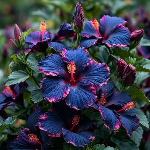 Гибискус Голден Глоу купить по цене от 259р. в интернет-магазине «Посадика» с доставкой почтой в в Высоковске и по всей России – [изображение №1].